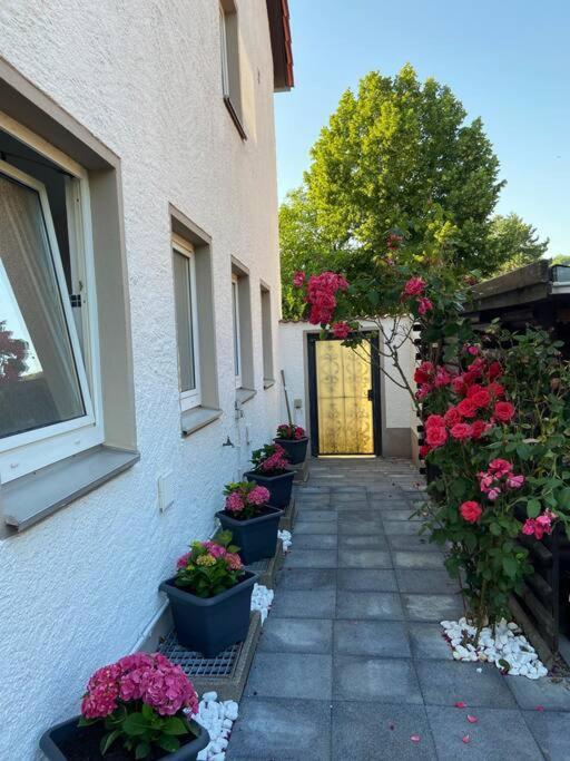 Bronzetaler Apartment Bad Harzburg Luaran gambar